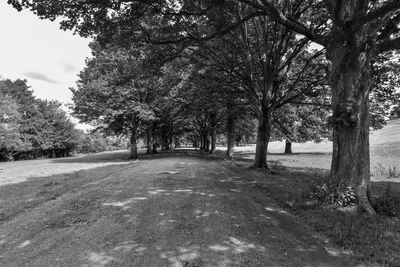 Road amidst trees in park against sky