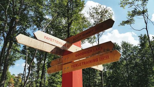 Low angle view of information sign against trees