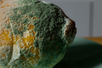 Close-up of bread on table