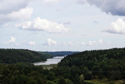 Scenic view of river in forest against sky