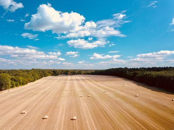 Road amidst agricultural field against sky