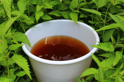 Close-up of tea cup on table