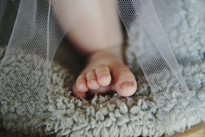 Close-up of baby hand