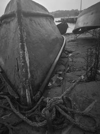 Close-up of rope tied to moored on field