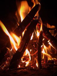 Close-up of bonfire at night