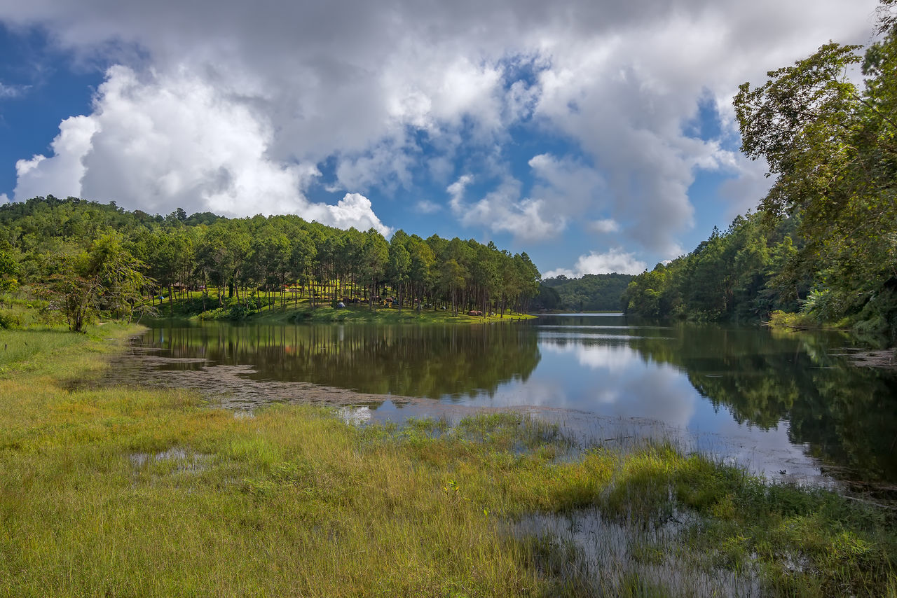 SCENIC VIEW OF LAKE AND TREES AGAINST SKY