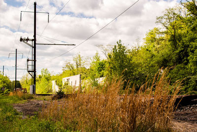 Trees and plants on field against sky