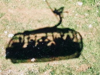 Shadow of a cat on field