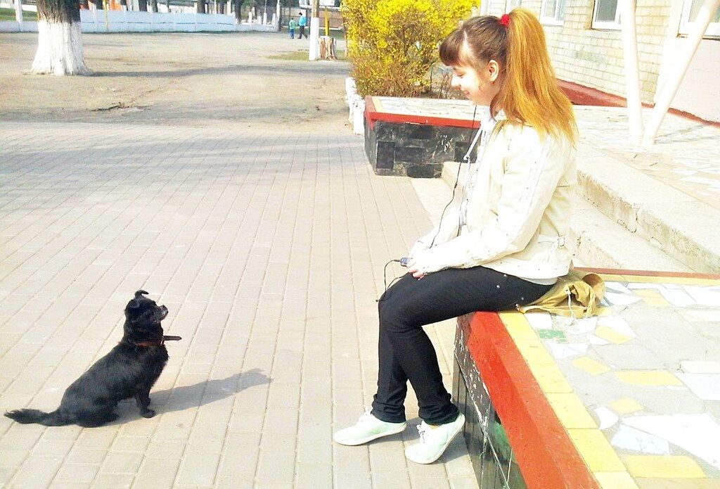 animal themes, one animal, pets, domestic animals, mammal, full length, sitting, dog, two animals, sunlight, togetherness, relaxation, bench, day, shadow, outdoors, wildlife, sidewalk, side view