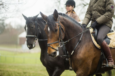 Young couple riding horses