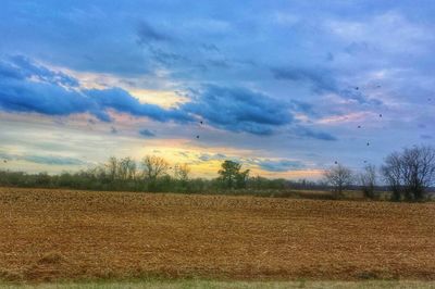Scenic view of field against cloudy sky