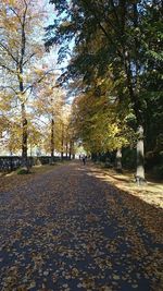 Road passing through forest
