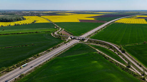 High angle view of agricultural field