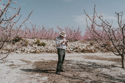 Full body of male gardener in hat surfing cellphone while standing in orchard with blooming apricot trees with pink flowers