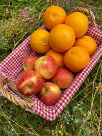 High angle view of apples in basket on field