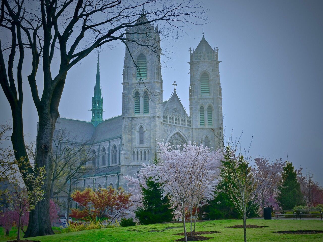 tree, built structure, architecture, plant, building exterior, building, sky, place of worship, religion, nature, belief, travel destinations, spirituality, no people, the past, history, clear sky, outdoors, spire, skyscraper