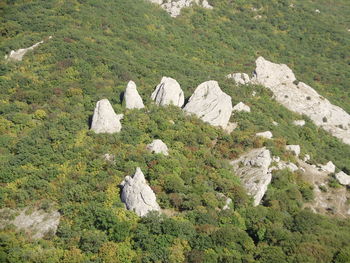 Scenic view of rocks on landscape