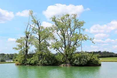 Scenic view of river and trees against sky