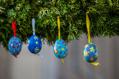 Multi colored christmas lights hanging on tree