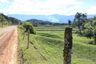 VIEW OF DIRT ROAD IN FIELD