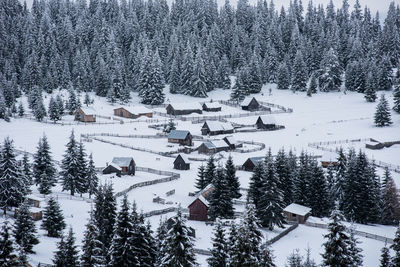 High angle view of houses amidst trees during winter