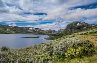 Landscape at toviken, fødalen and lake djupsvatnet, norway