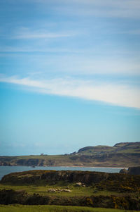 Scenic view of landscape against blue sky