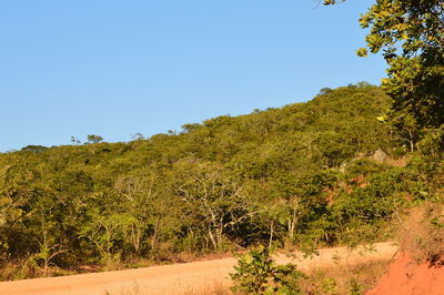 Scenic view of trees against clear sky