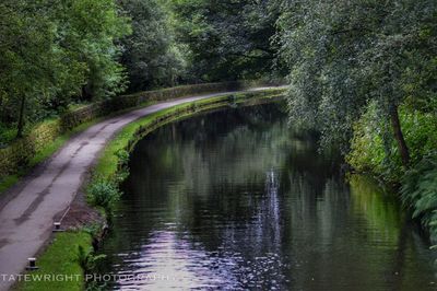 Bridge over river with trees in background