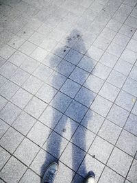 Low section of man standing on cobblestone