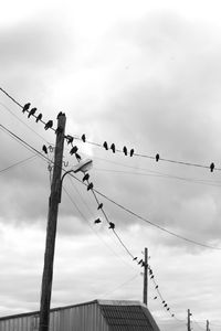 Low angle view of birds perching on cable against sky