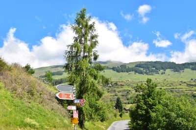 Panoramic shot of trees on landscape against sky