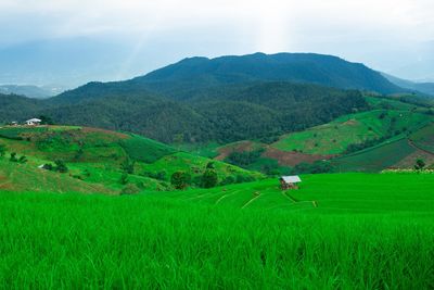 Scenic view of agricultural field against sky and mountain