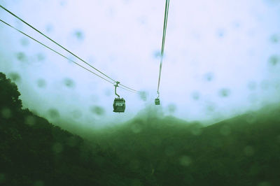 View of trees against sky