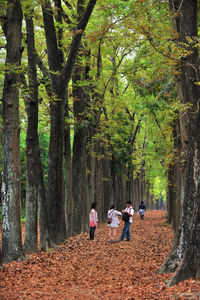 People on footpath amidst trees during autumn