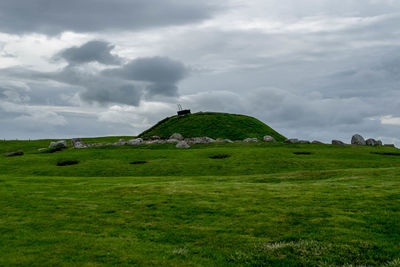 Scenic view of grassy field against sky