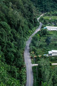 High angle view of road amidst trees in forest