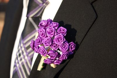 Close-up of pink rose