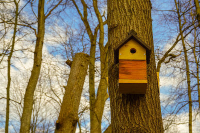 Low angle view of birdhouse on tree trunk