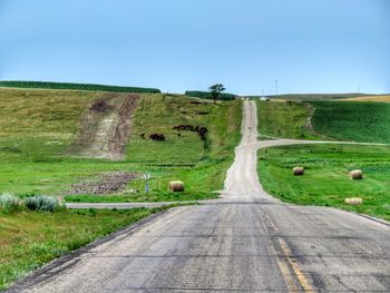 Road amidst agricultural field against clear sky