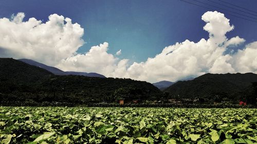 Scenic view of field against cloudy sky