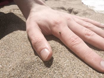 Close-up of hand with tiny insect on sand at beach during sunny day