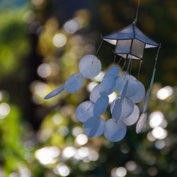 Low angle view of lighting equipment hanging on tree