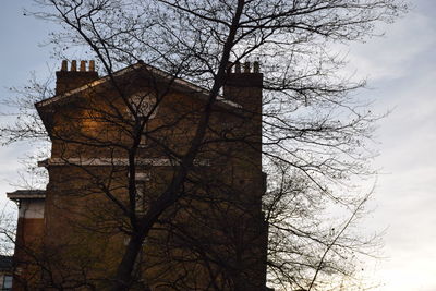 Low angle view of bare trees against sky