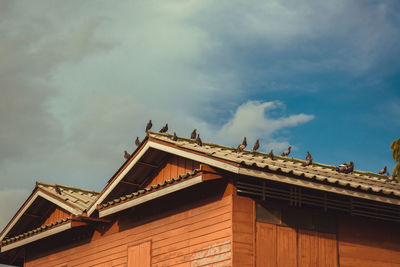 Low angle view of birds perching on roof of building