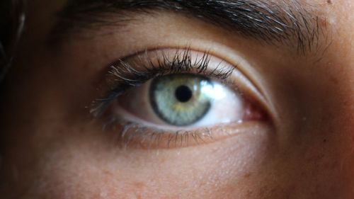 Close-up portrait of human eye