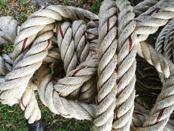 Close-up of tangled rope on grass