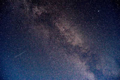 Low angle view of stars in sky at night