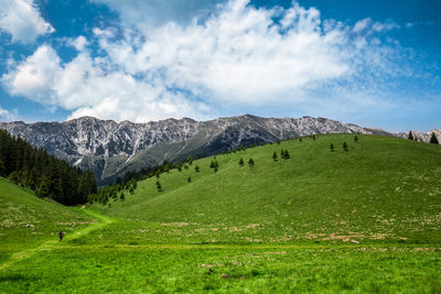 Scenic view of grassy field against cloudy sky