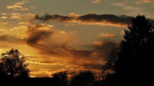 Low angle view of silhouette trees against sky during sunset